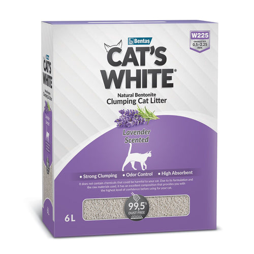 Scatola di lettiera agglomerante per gatti profumata alla lavanda Cat's White da 6 L
