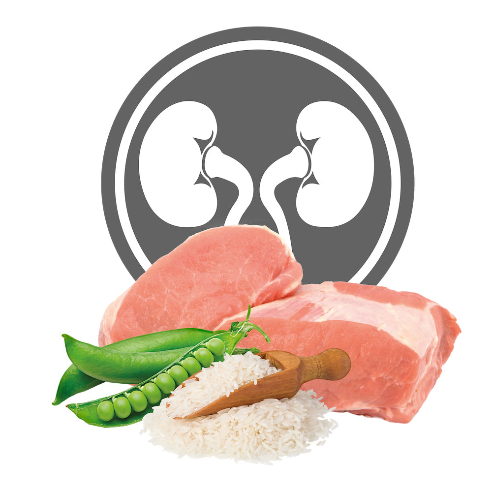 Lattina di alimento umido per gatti con problemi renali Exclusion Renal Phase 1