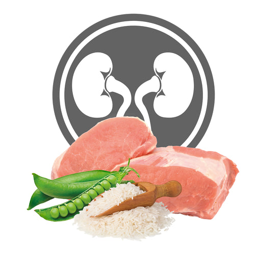 Lattina di alimento umido per gatti con problemi renali Exclusion Renal Phase 1