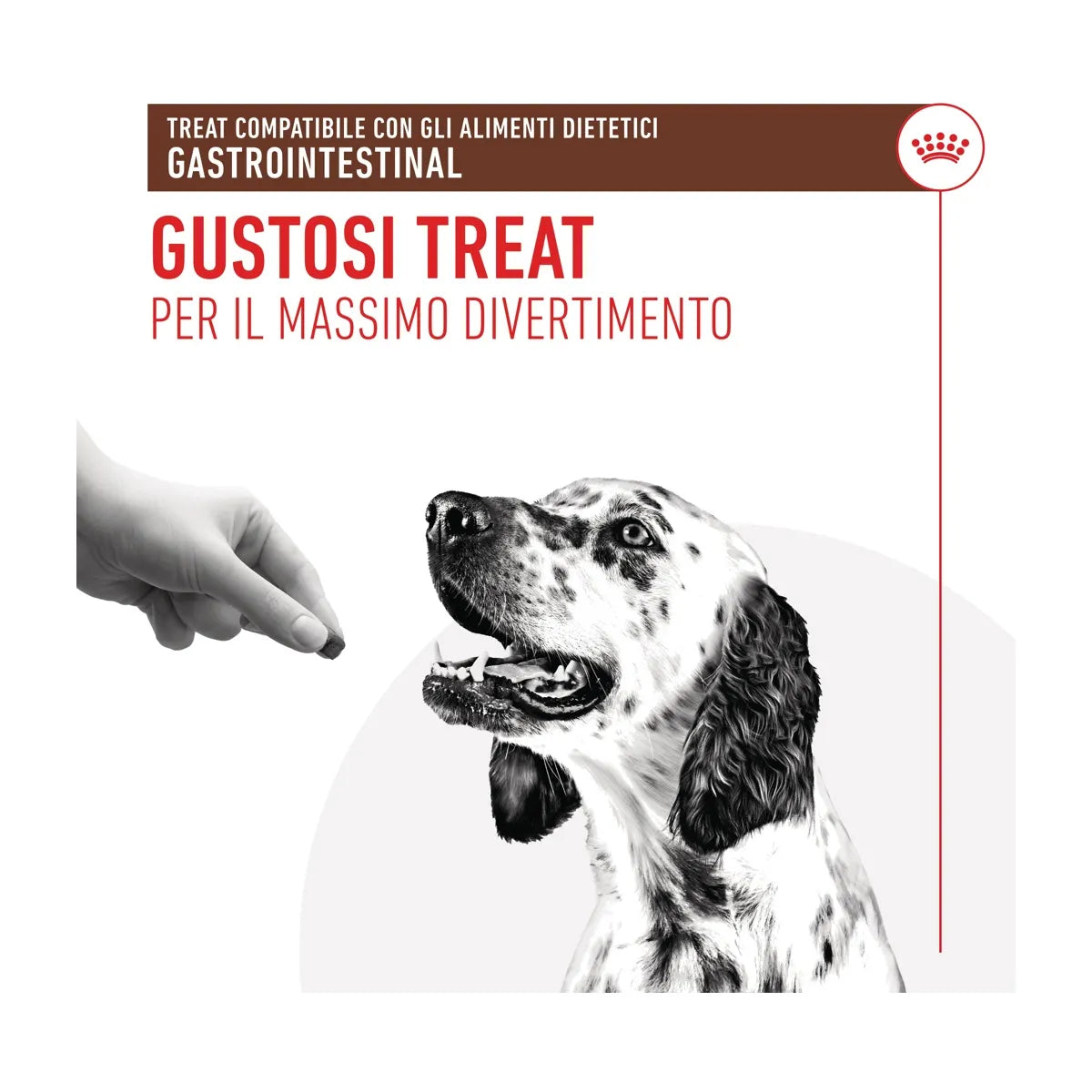 Busta di snack gastrointestinali per cani Royal Canin Gastrointestinal Treats