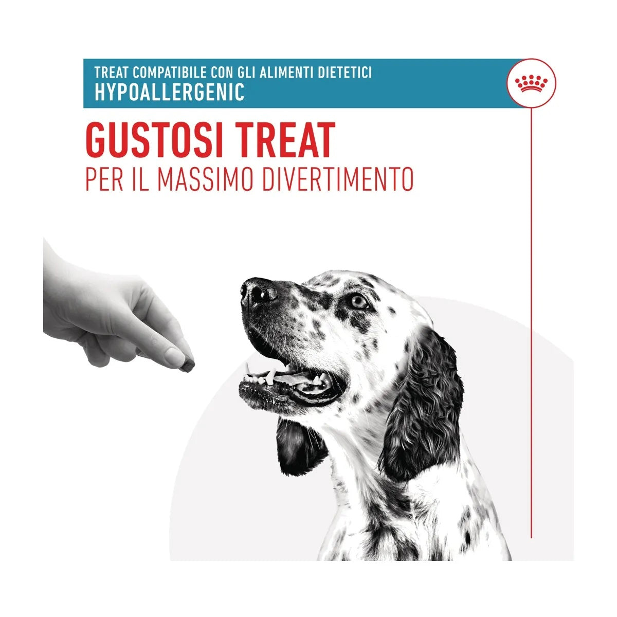 Bustina di snack ipoallergenici per cani Royal Canin Hypoallergenic Treats 230 g