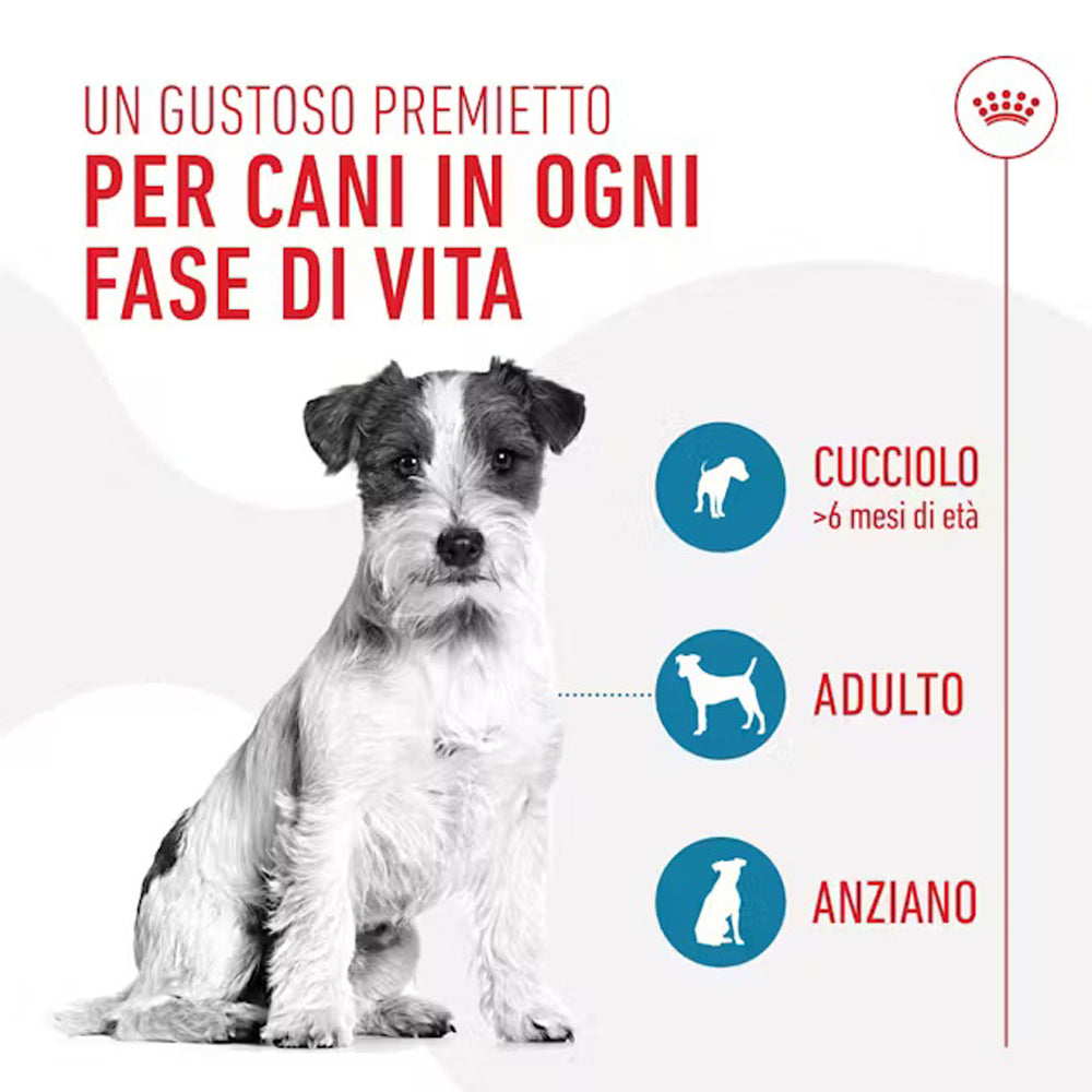 Busta di snack per cani a basso contenuto calorico Royal Canin Training Treats