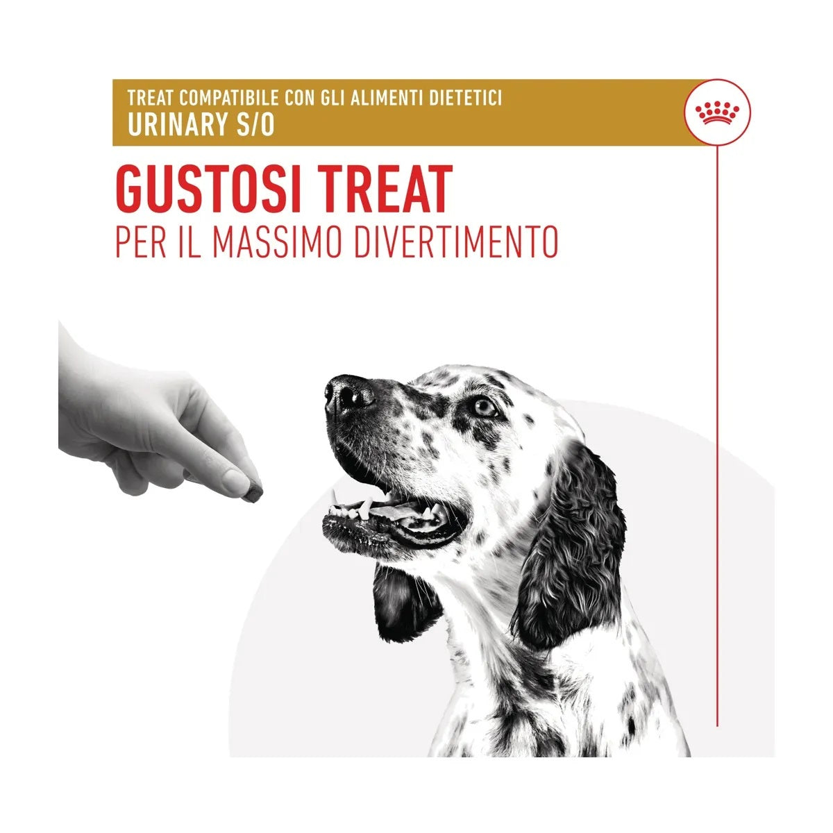 Bustina di snack per cani con problemi urinari Royal Cani Treats Urinary 230 g